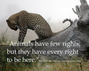 ... every right to be here. —Anthony Douglas Williams - Google Search