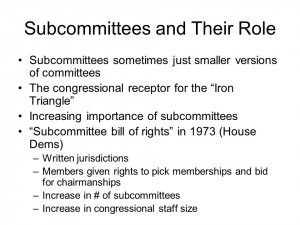 Subcommittees and Their Role Subcommittees sometimes just smaller ...