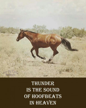 Horse Quote! Love this horse!