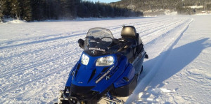 Get A Quick, Personalized Insurance Quote Today.