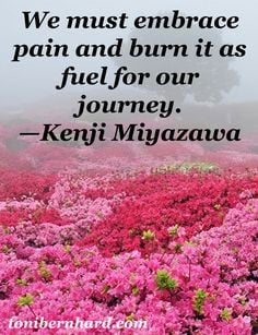 Pain Quote – Strength Inspiration