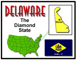 The Delaware State Flag