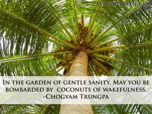 ... of gentle sanity, may you be bombarded by coconuts of wakefulness