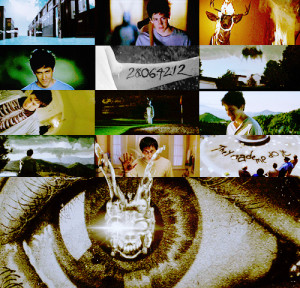 Donnie-Darko-donnie-darko-14929288-500-480.jpg