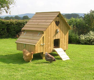 hen house chicken co op