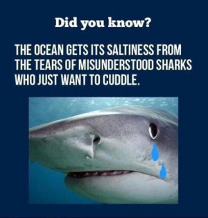 funny shark week tears cuddle
