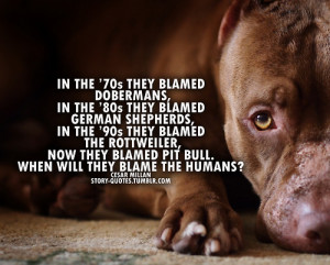 Cesar Millan Pitbull Quote