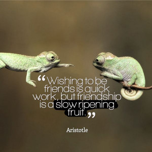 ... to be friends is quick work, but friendship is a slow-ripening fruit