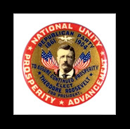 There is no room in this country for hyphenated Americanism.”