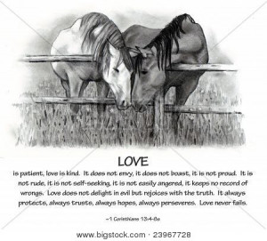 pencil drawing of two horses nuzzling, along with the famous verses ...