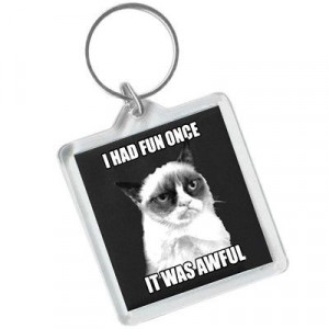 Stupid.com: Grumpy Cat Keychain - I Had Fun Once, It Was Awful.