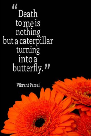 ... nothing but a caterpillar turning into a butterfly. ~ Vikrant Parsai