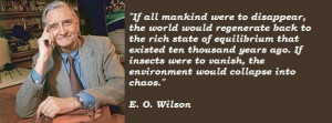 wilson famous quotes 1