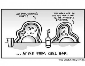Stem Cell Cartoon