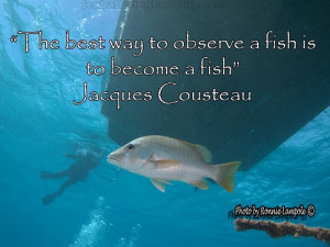 reeftrip_scuba_diving_day_tours_Cairns_Great_barier_Reef_Dive_and ...