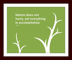 Nature does not hurry, yet everything is accomplished Quote