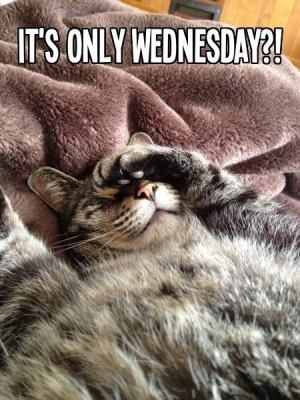 It's Only Wednesday Pictures, Photos, and Images for Facebook, Tumblr ...