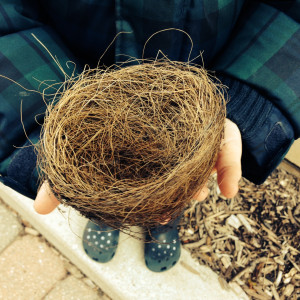 Funny Quotes Contact Dmca...