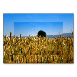 Grain Business Card Template