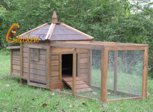 pictures of Backyard Chicken Coop How To