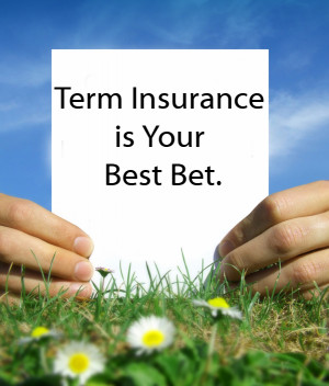 Term Life Insurance Quotes – Significance of Creating the proper ...