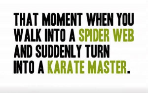 Spider Web Karate Master
