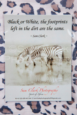 Zebra Fridge Magnet, Inspirational quote magnet, Zebra photo, animal ...