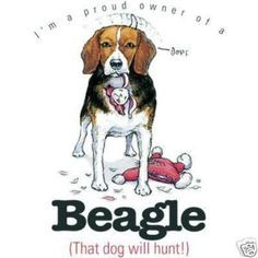 ... more beagles funny snoopy s beagles beagles beagles beagles beagles