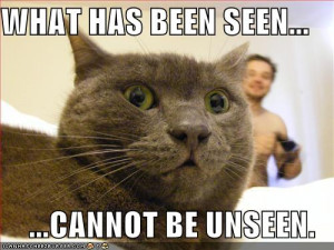 funny-pictures-scared-cat-naked-guy.jpg