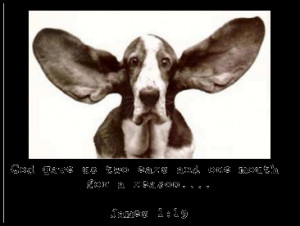 York Place Dental Blog