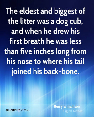 Littering And Quote Clinic