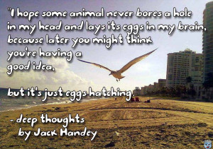 best jack handey quotes