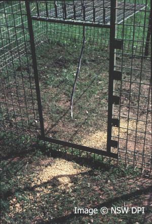 Funny Quotes Contact Dmca...