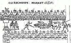 Cheap insurance market