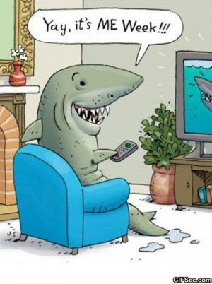 Funny Pictures – Shark Week - Funny Pictures, MEME and Funny GIF ...
