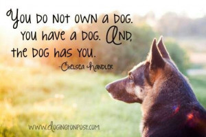 quotes about your dog | Own your dog? | quotes