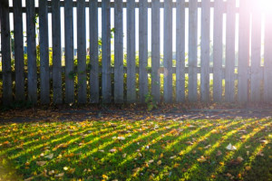 fence-and-grass.jpg