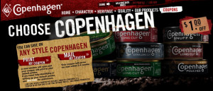 Copenhagen Wintergreen Snuff