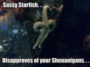 Weekend Aquarium Meme Roundup