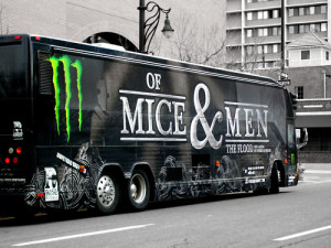 Red Bull Energy Drink...