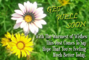 Get Well Soon With The Warmest Of Wishes This Just Comes To Say Hope ...