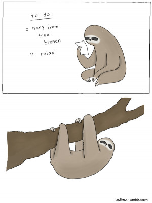 Sloth to do: Hang from Tree Branch.