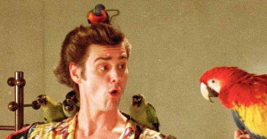 Best Quotes From Ace Ventura Pet...