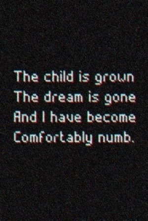 Comfortably Numb | Pink Floyd