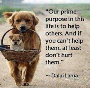 Help others - Dalai Lama