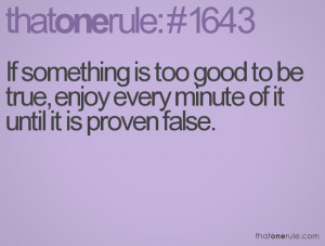 If something is too good to be true, enjoy every minute of it until it ...