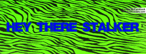 hey_there_stalker_cover_zebra_print-66929.jpg?i