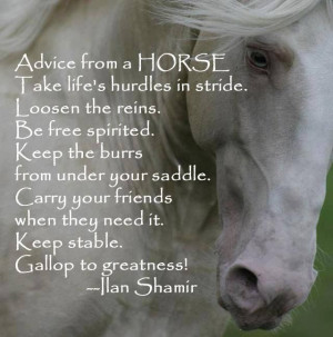 Good advice from your horse!