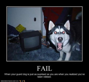 funny dog pictures surprised robbed - Funny ass pics