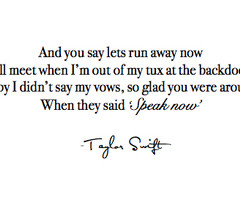 Taylor Swift Speak Now Quotes Taylor swift speak now quotes